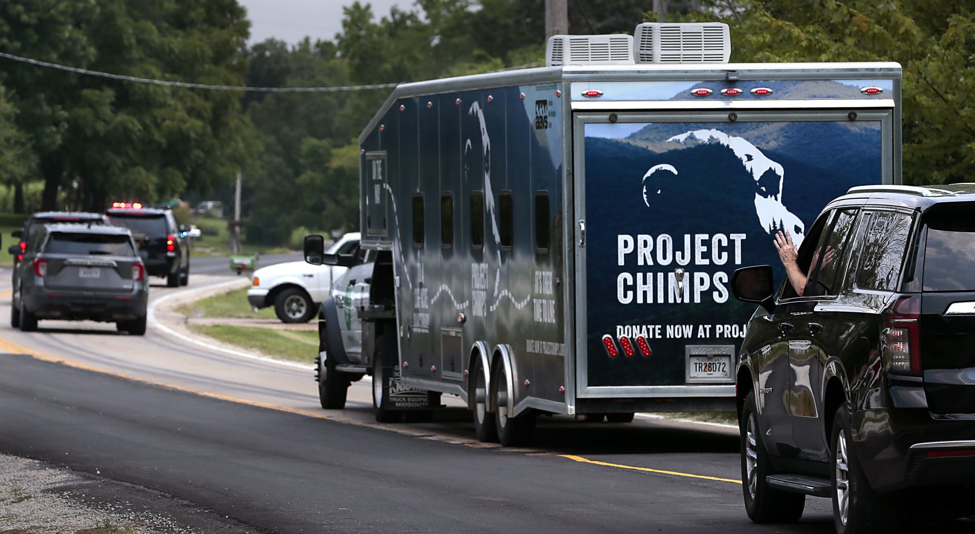 Chimpanzees moved out of the house of Festus